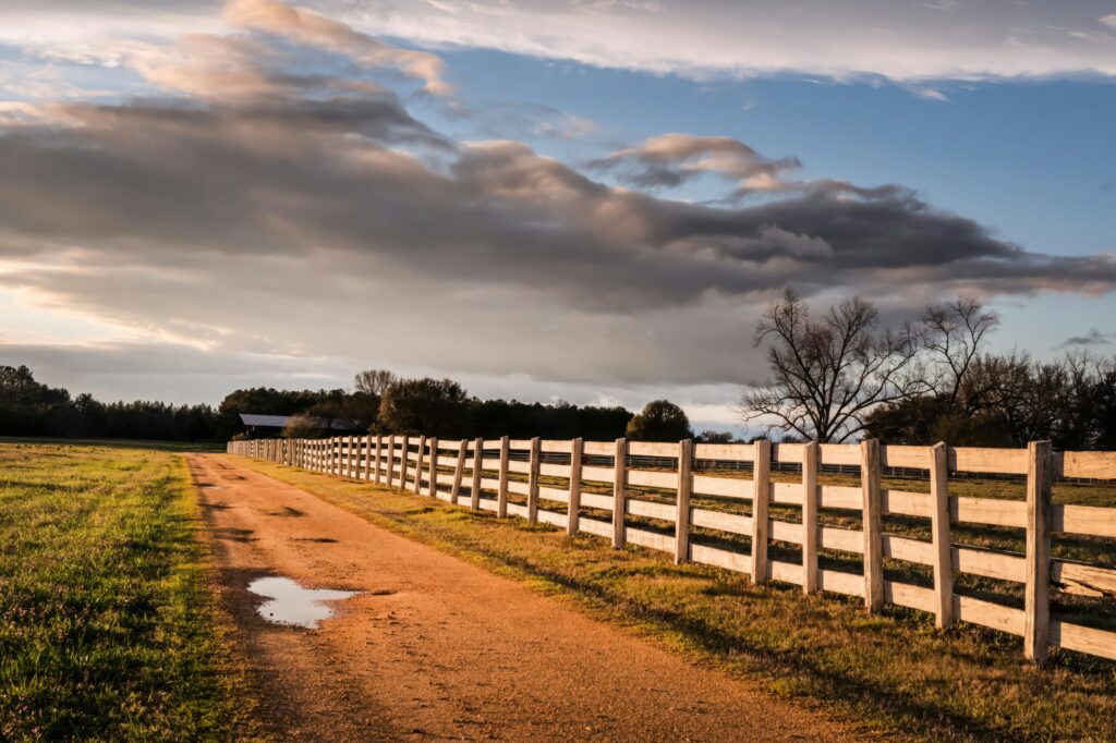 Rural dirt road in Alabama