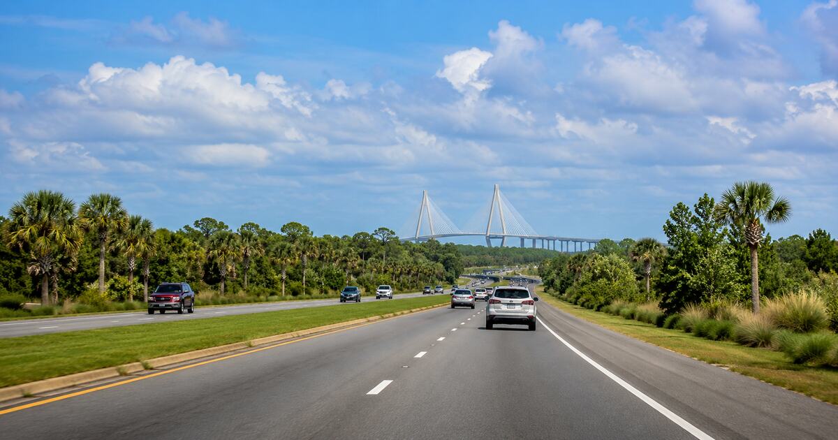 Cars traveling on a South Carolina highway through Lowcountry palmettos toward a cable-stayed bridge